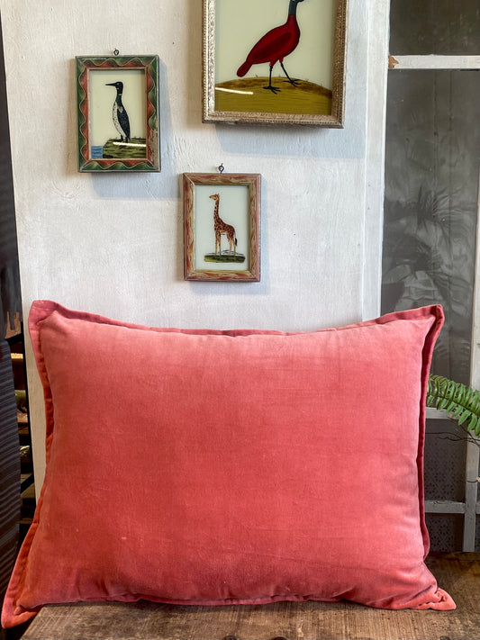Coral Fusion velvet cushion cover BHAT013