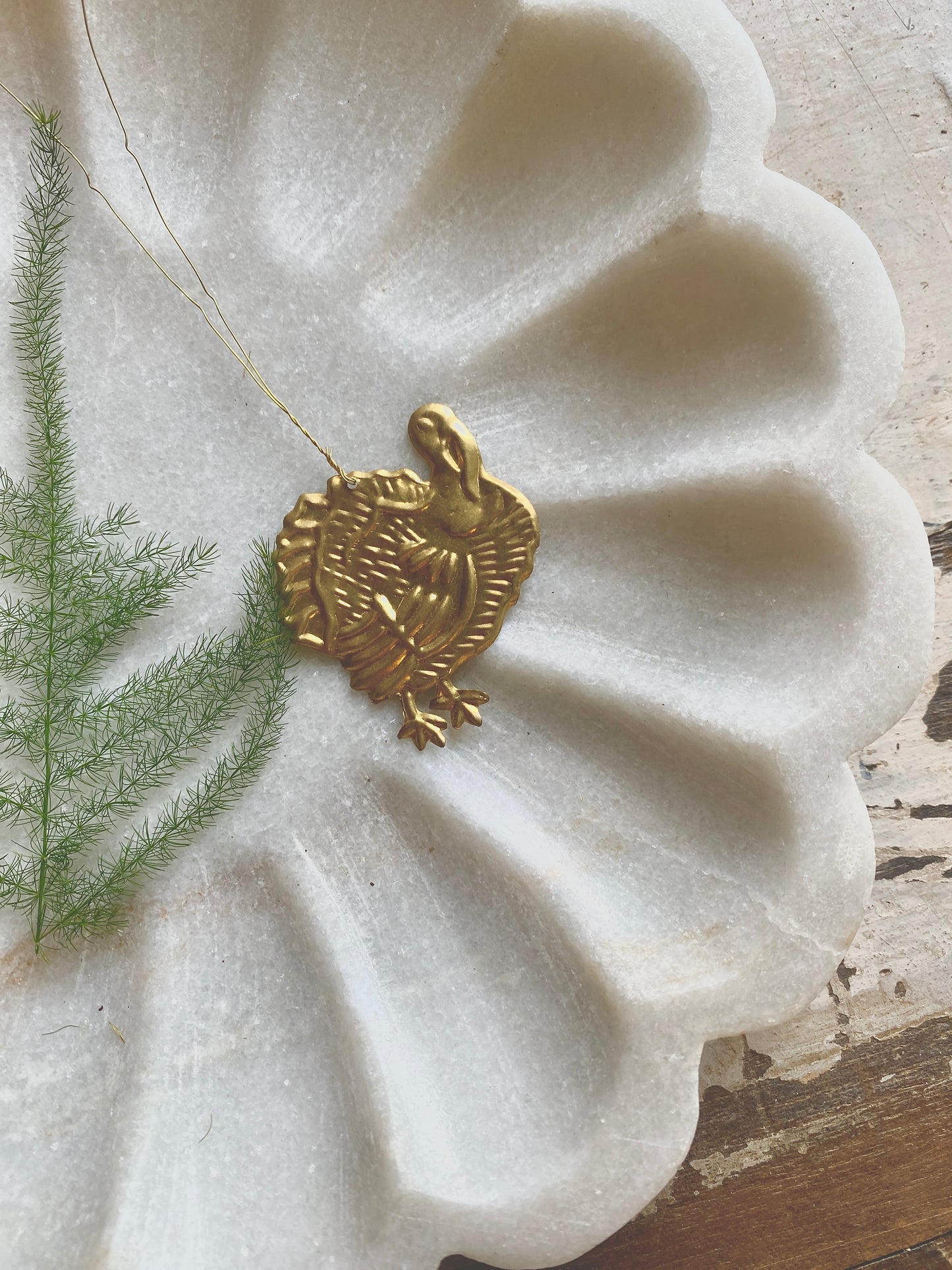 Kalkoenhanger NAW2037