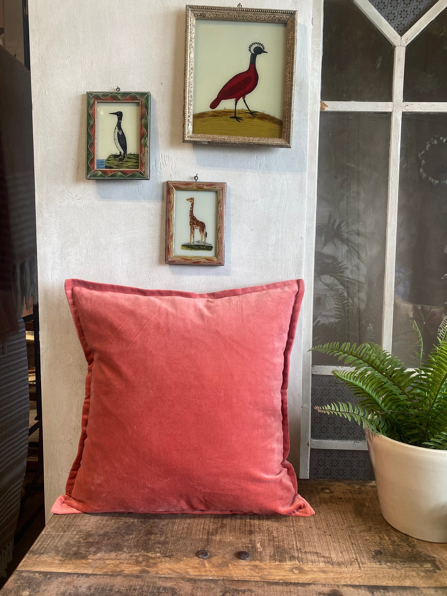 Coral Fusion velvet cushion cover BHAT012