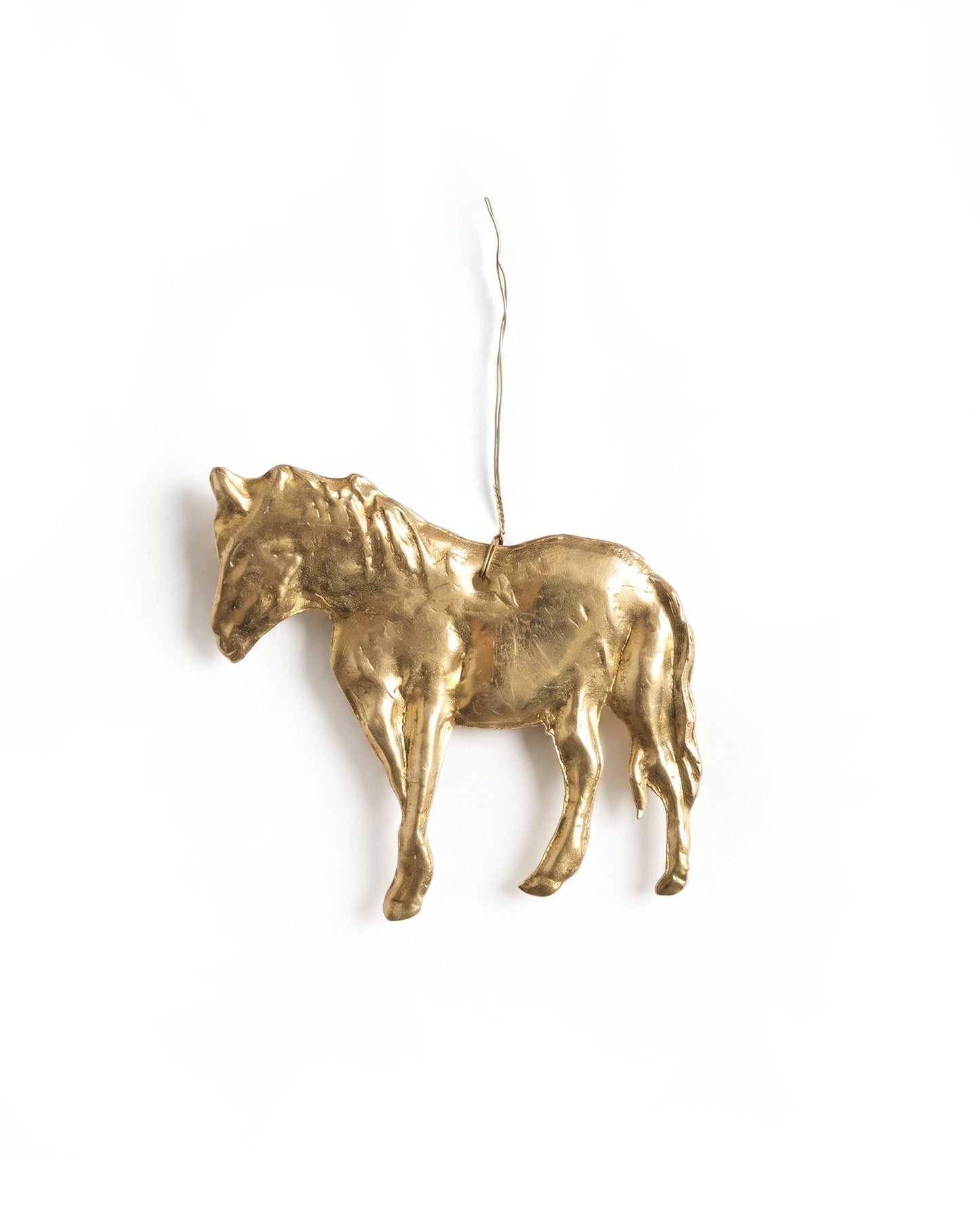 Paardentag NAW541