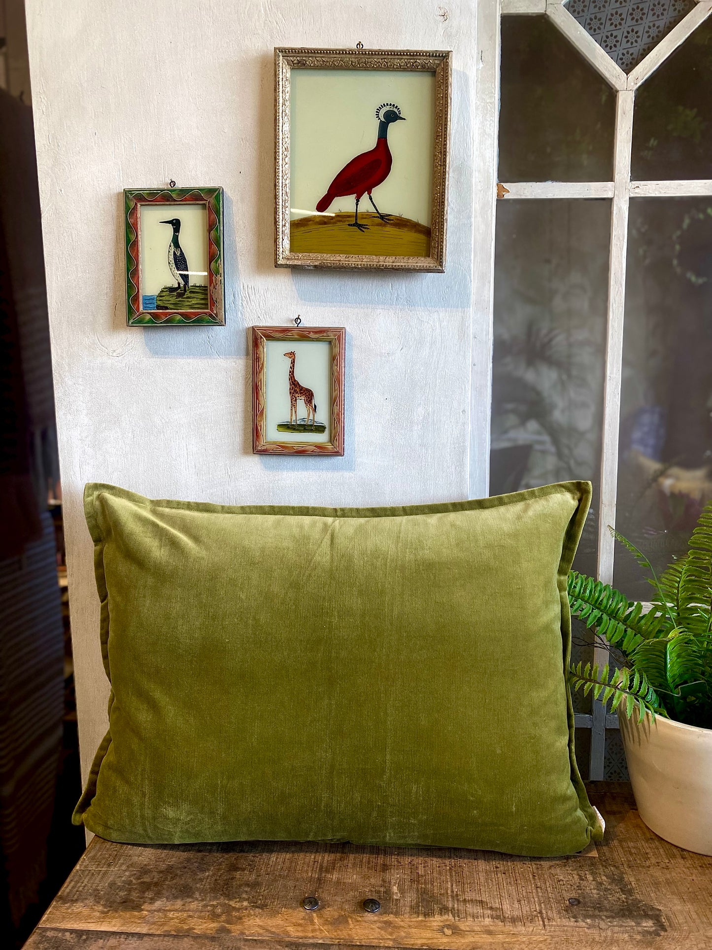 Olijfgroene fluwelen kussenhoes BHAT007