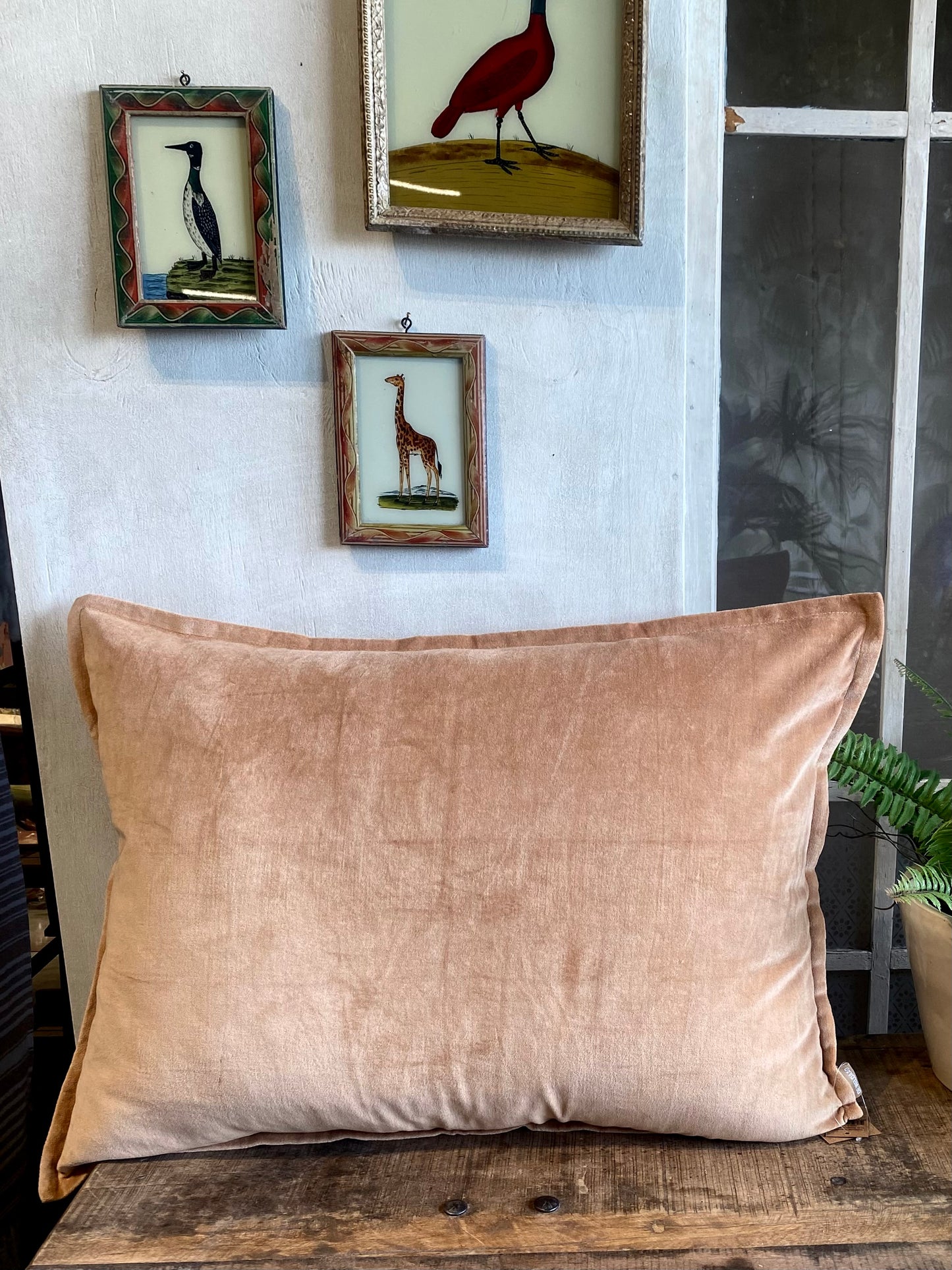 Sirocco fluwelen kussenhoes BHAT021