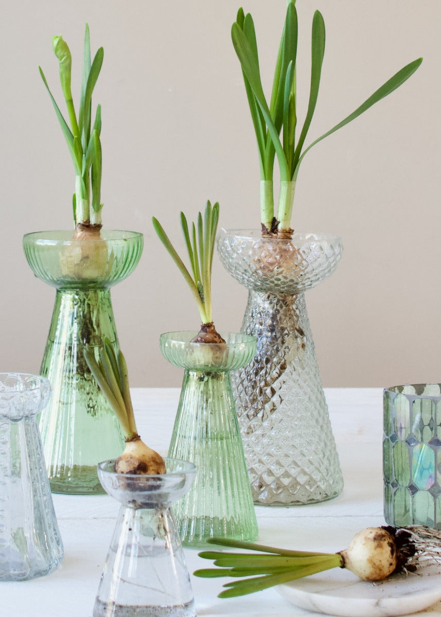Hyacinth vase green S WEL031