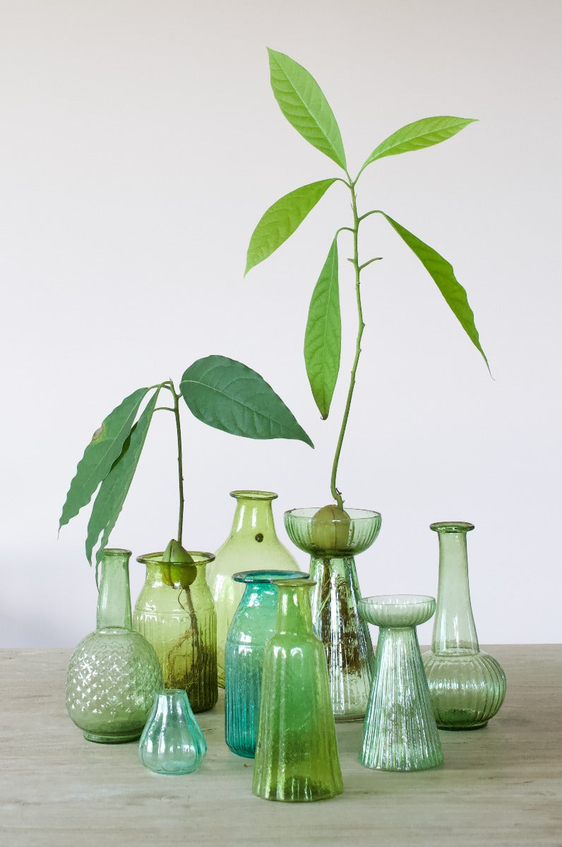 Hyacinth vase green L WEL028