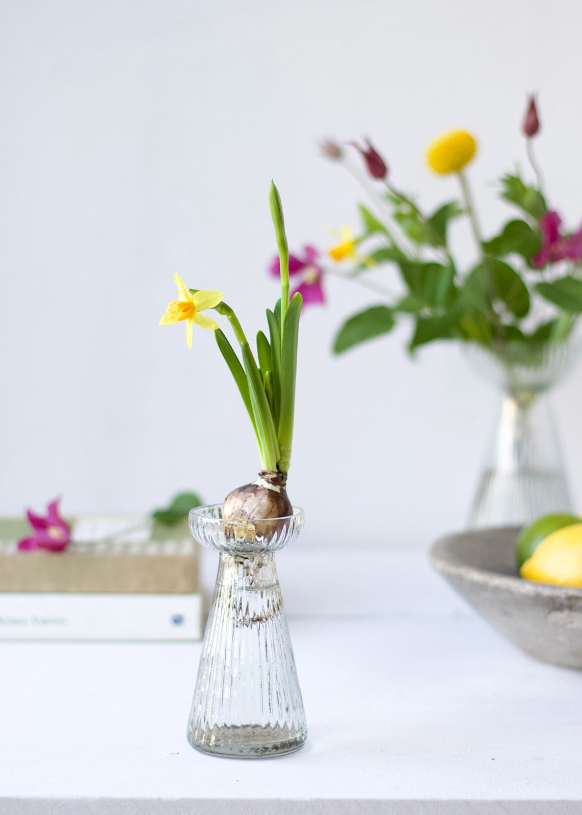 Hyacinth vase transparent S WEL030