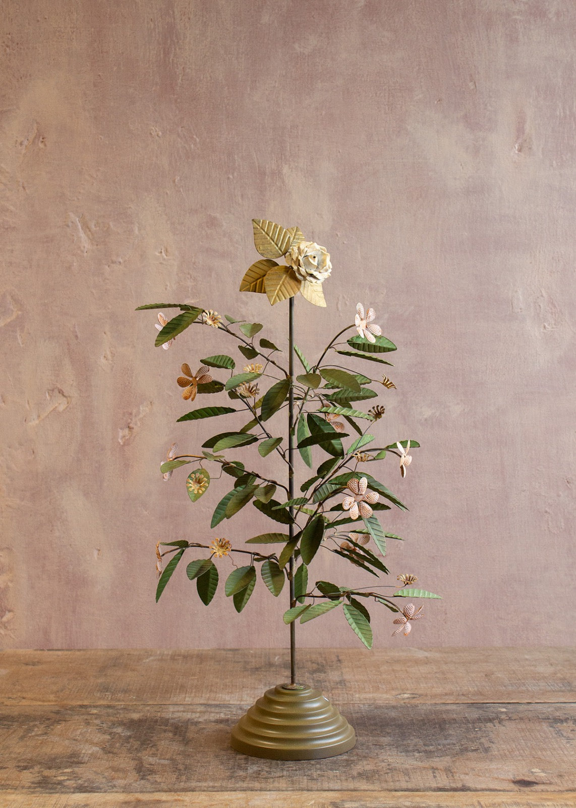 Plant ALI001