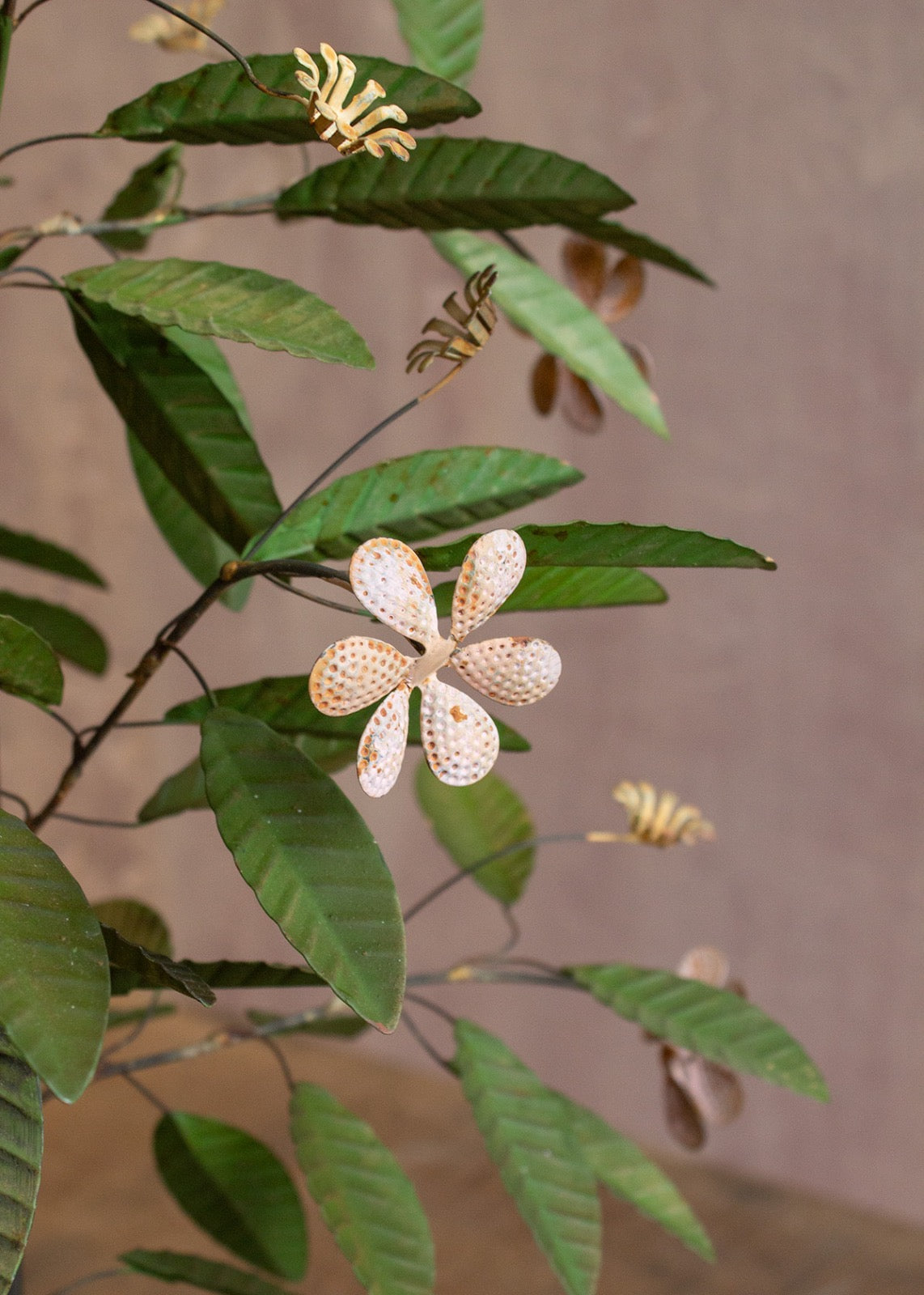 Plant ALI001