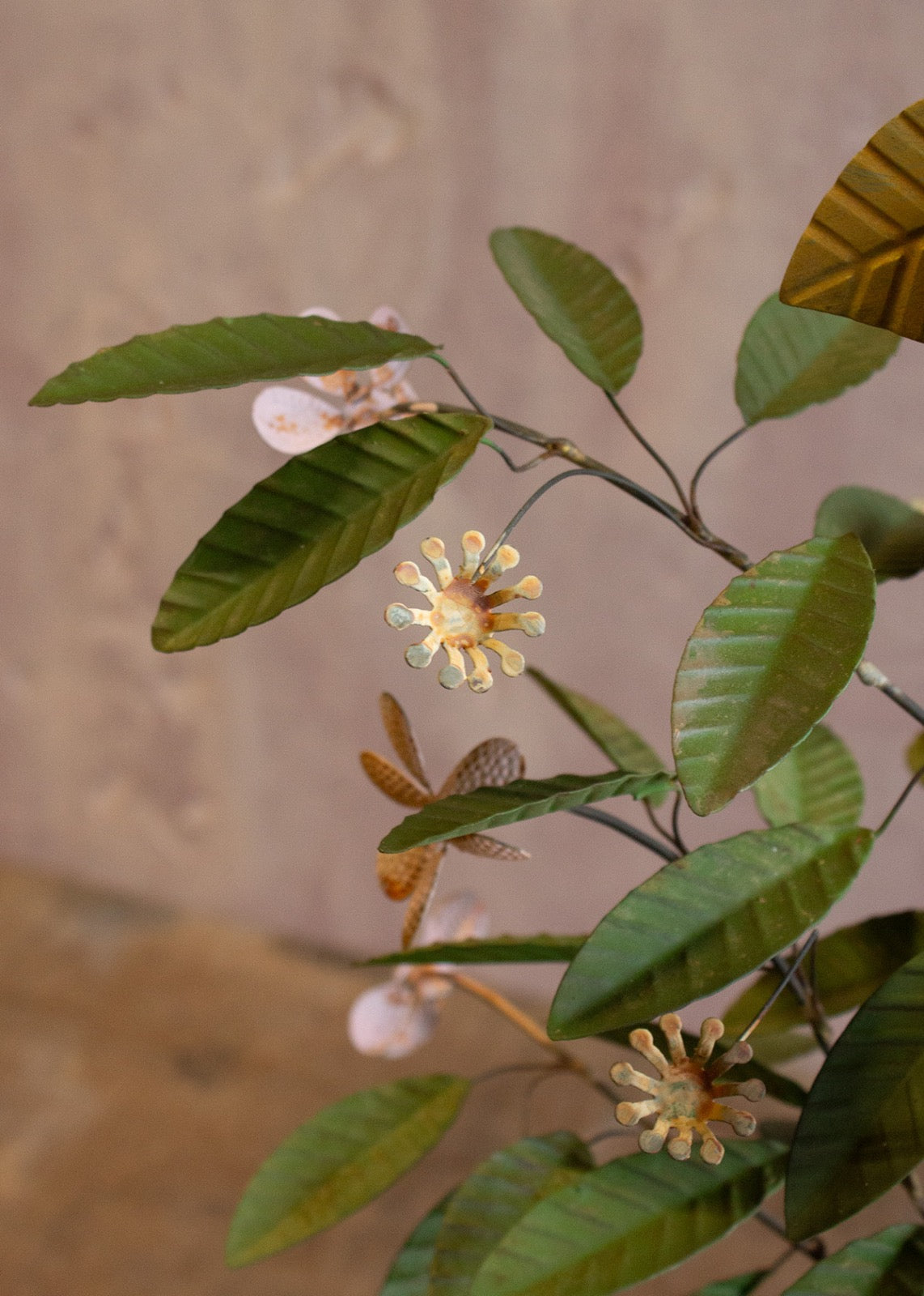 Plant ALI001