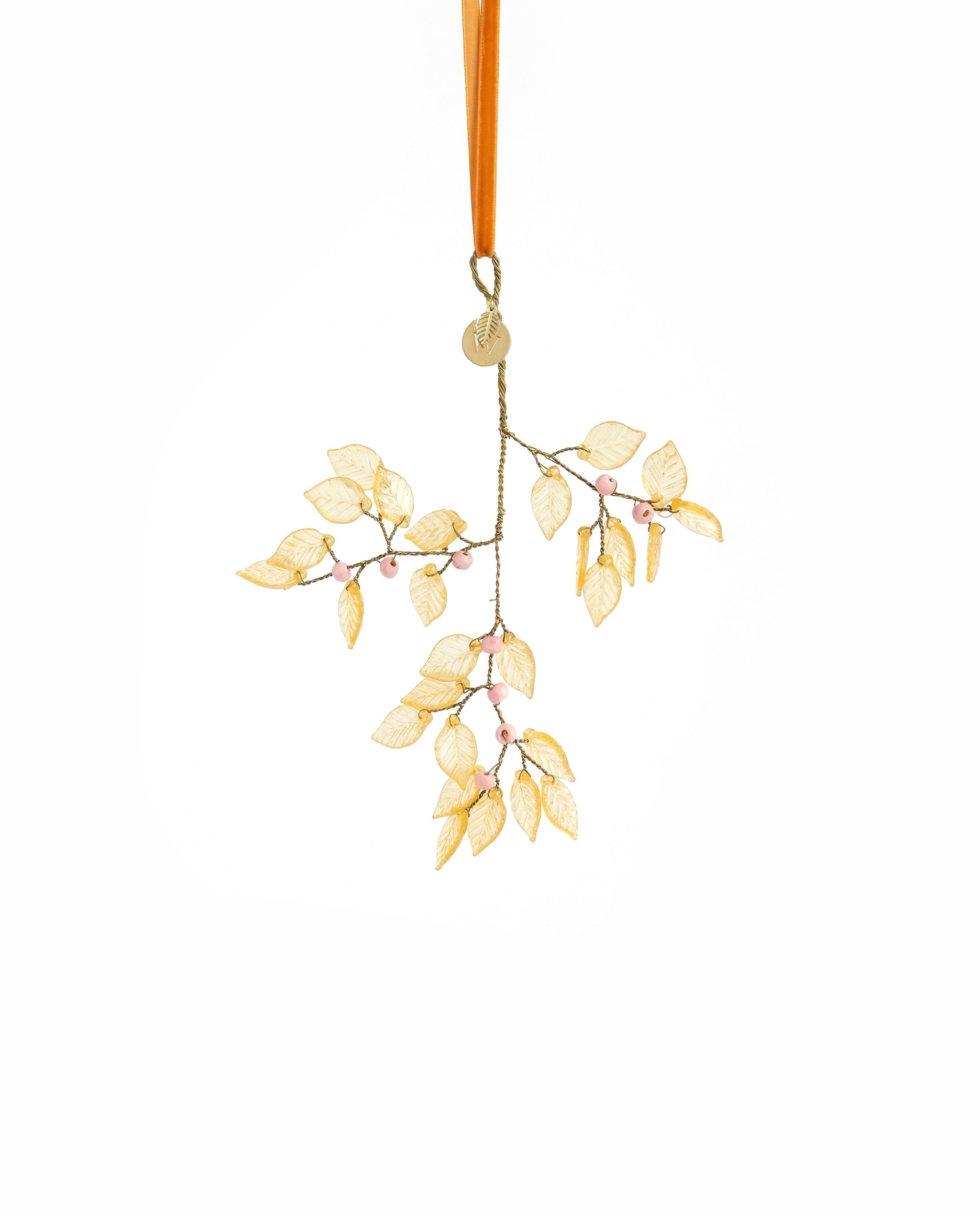 Yellow leaf  branch TI2400011