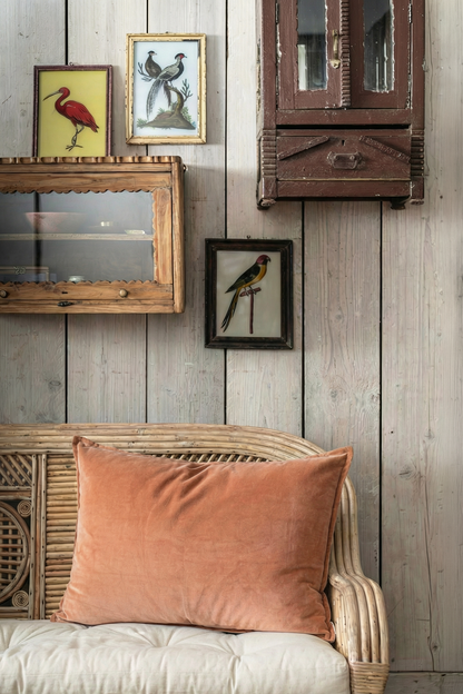 Geroosterde noten fluwelen kussenhoes BHAT011