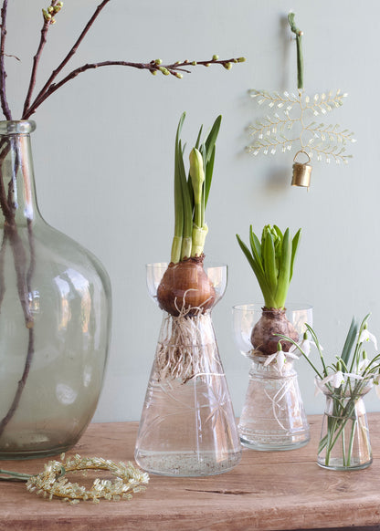 Celadon Mist leaf WD143