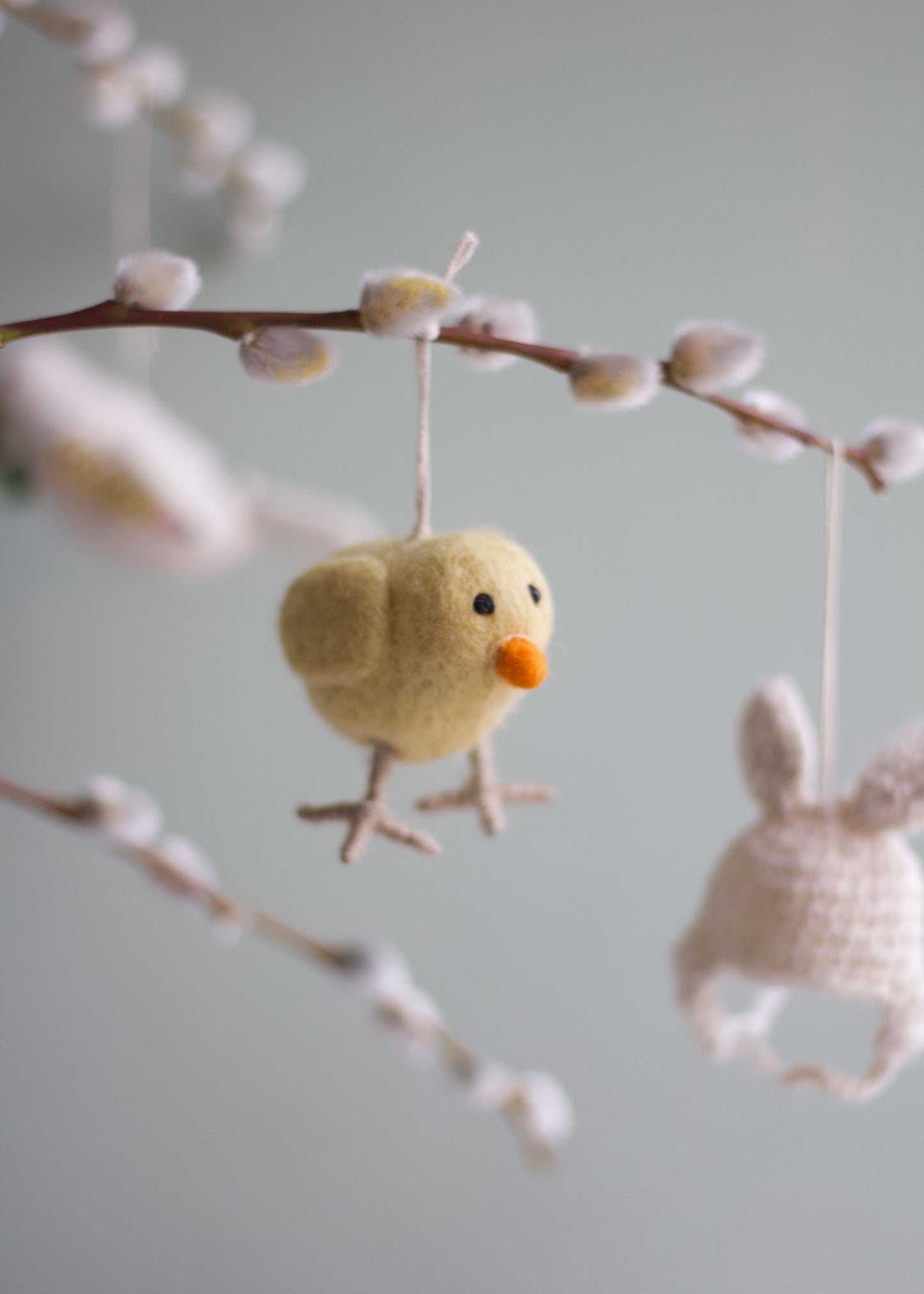 little chicken NEP10666