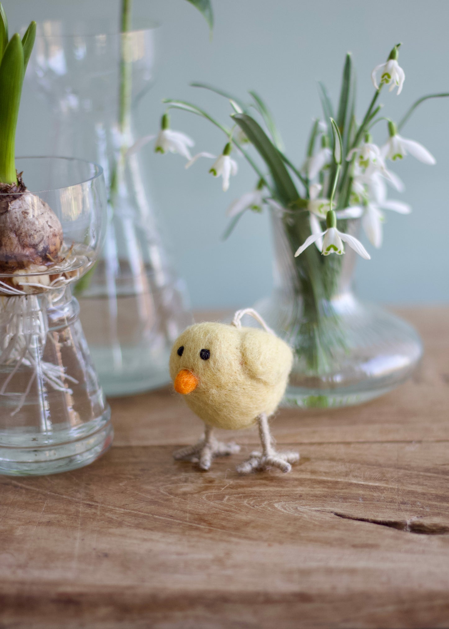 little chicken NEP10666