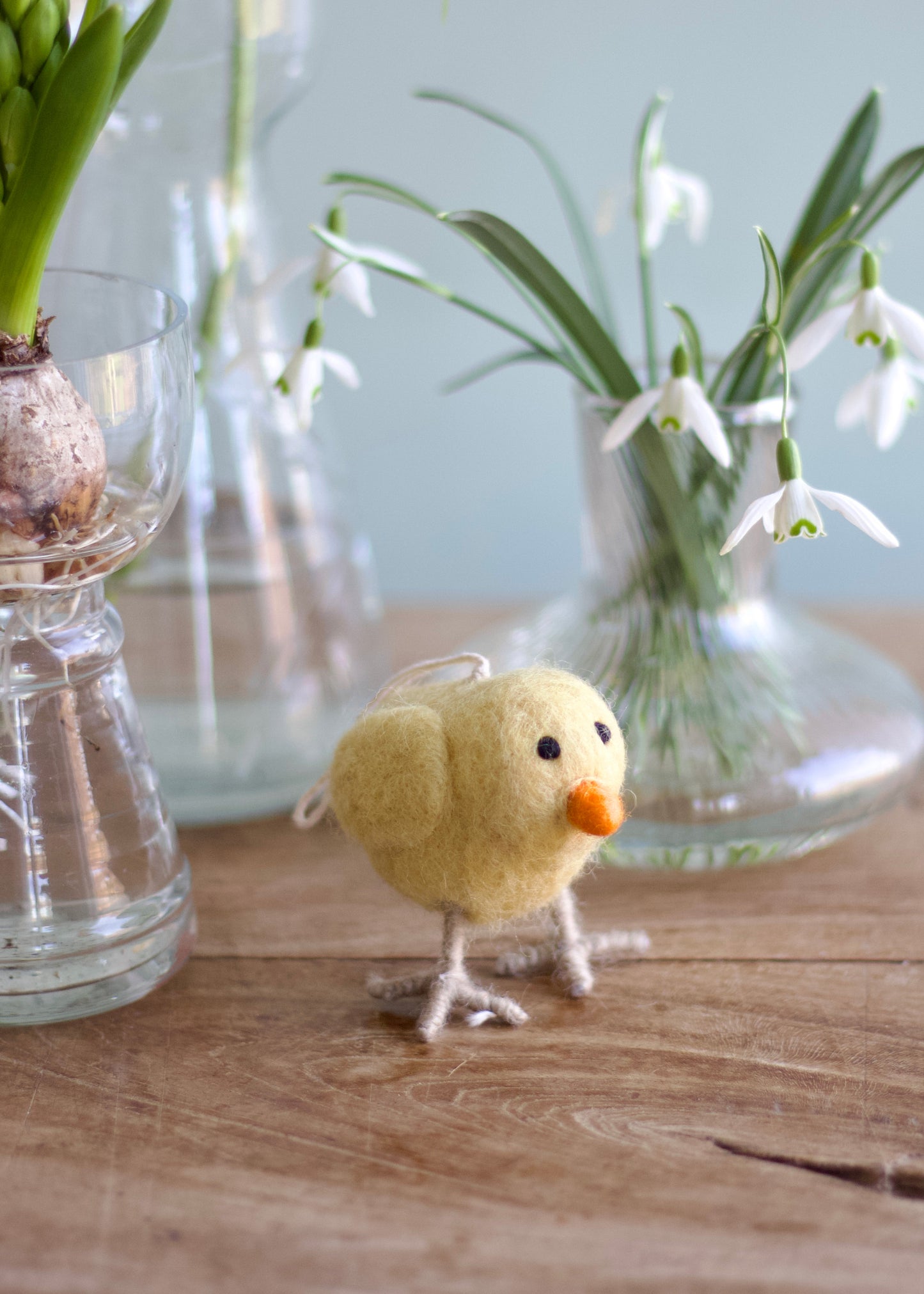 little chicken NEP10666