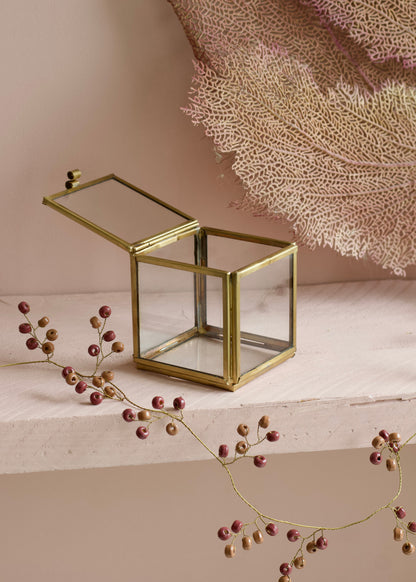 Display Box Large EC8021