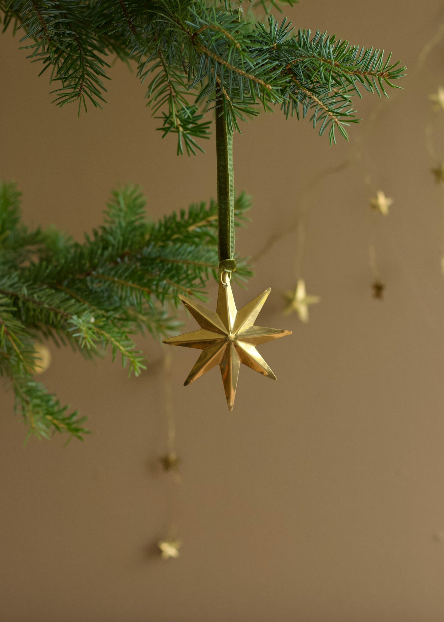 Poolster Ornament TI