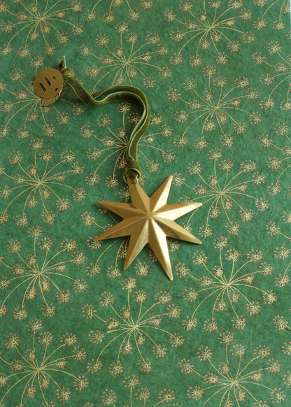 Poolster Ornament TI
