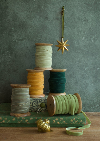 Plain velvet ribbon AE027