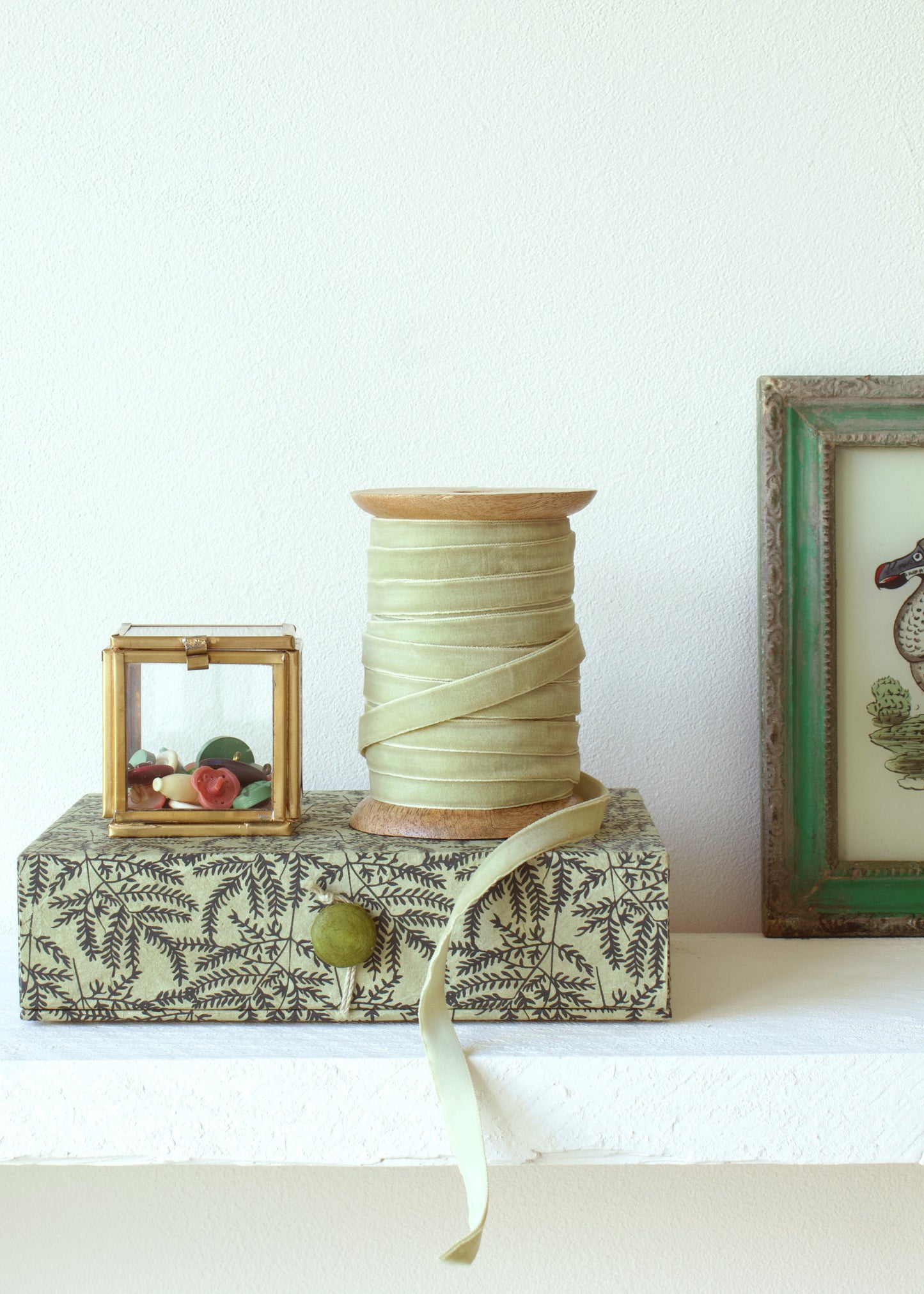 Plain velvet ribbon AE027