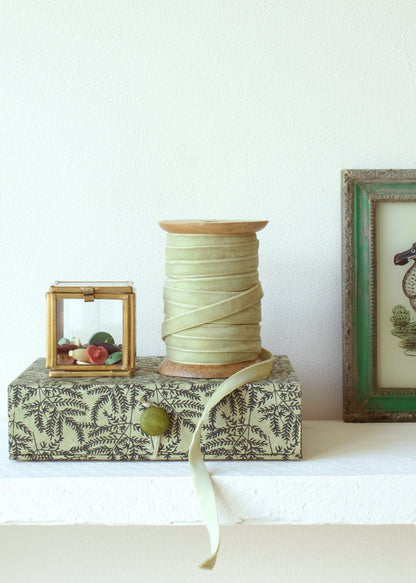 Plain velvet ribbon AE027
