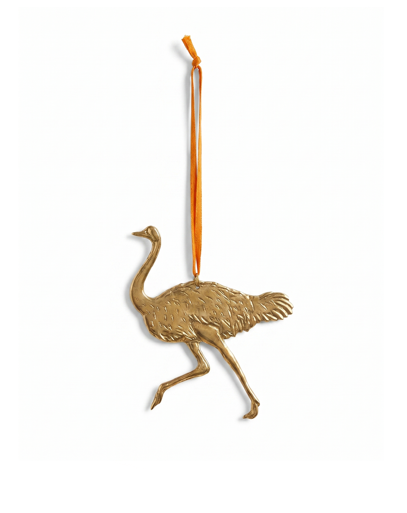 Ostrich Ornament NAW564