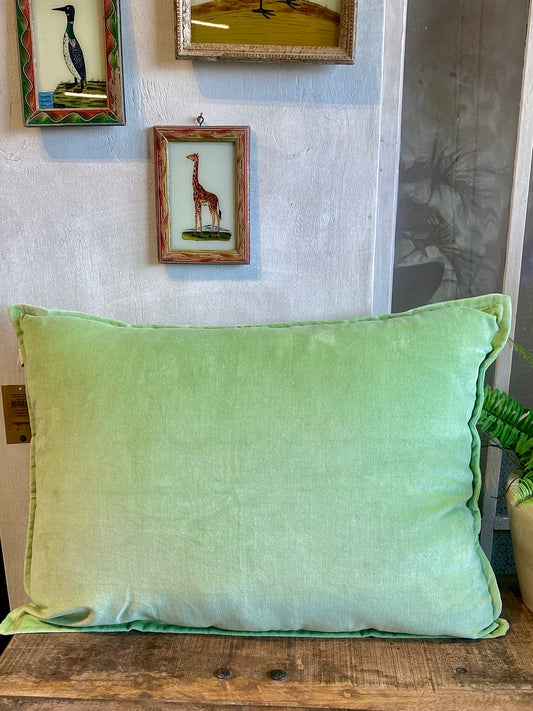 Seedling velvet cushion cover BHAT029