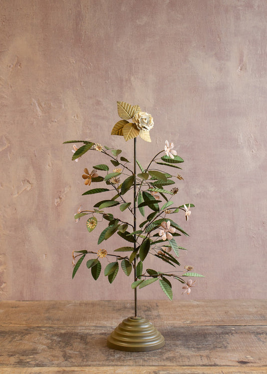 Plant ALI001