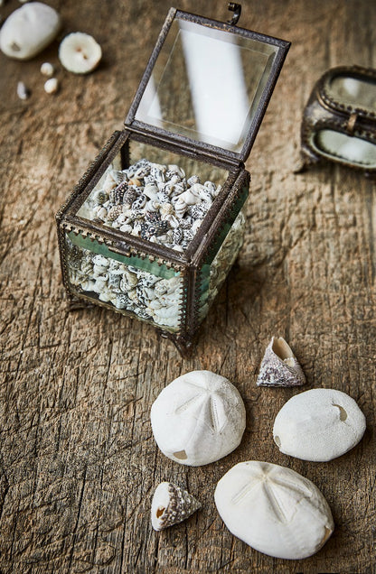 Coffret à bijoux S EW-2795