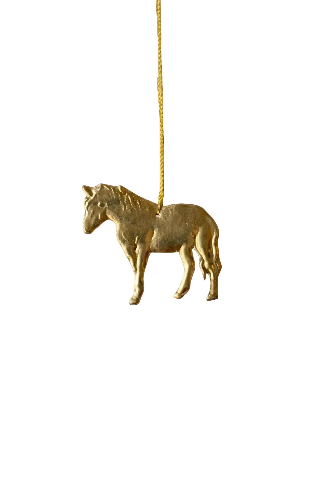 Paardentag NAW541
