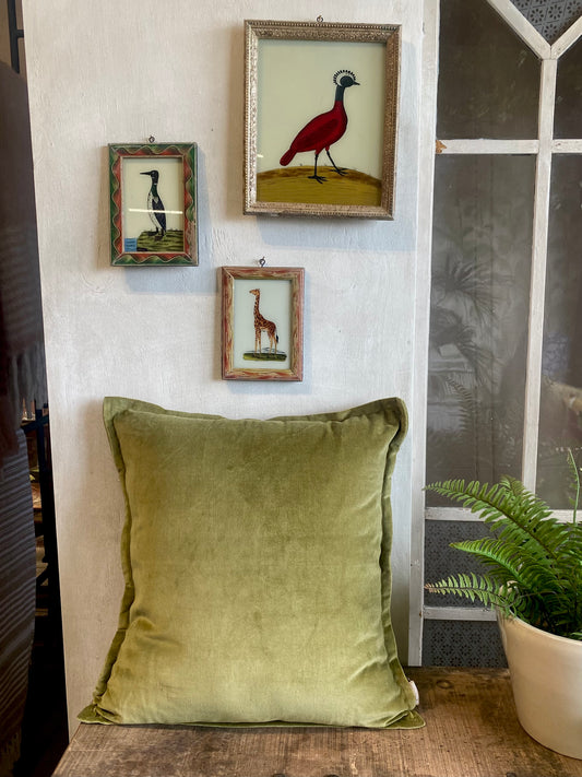 Olive Velvet cushion cover BHAT006