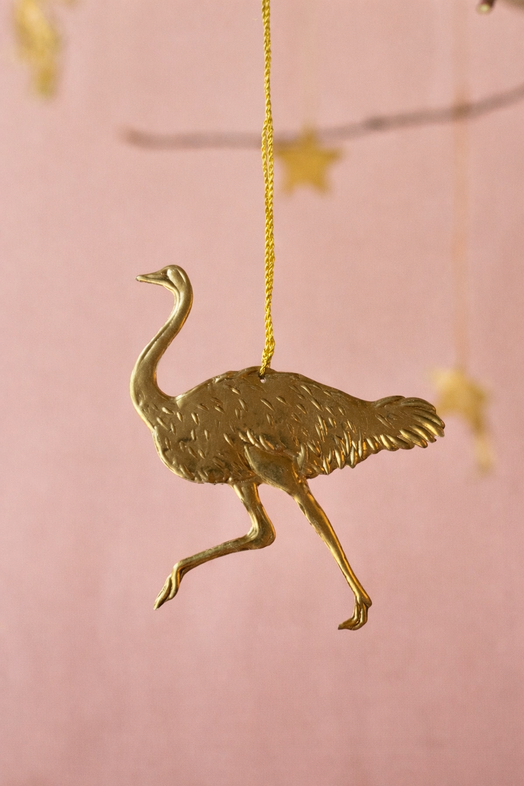 Ostrich Ornament NAW564